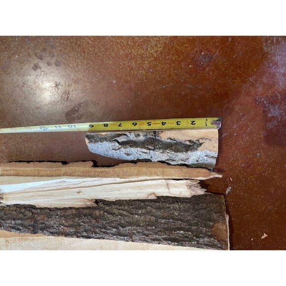 Basswood Rustic Bark Edge Wood Slabs For Crafts & DIY Projects - Picture 11 of 11